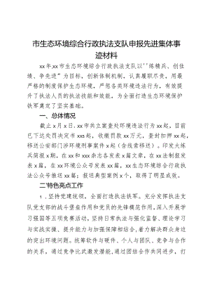 市生态环境综合行政执法支队申报先进集体事迹材料.docx