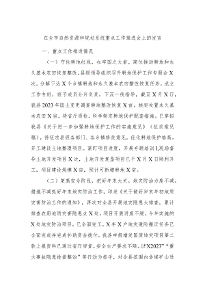 在全市自然资源和规划系统重点工作推进会上的发言 .docx