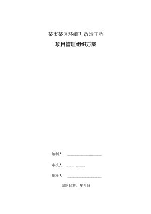 某市某区环境提升改造工程项目管理组织方案.docx