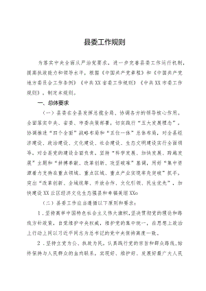 县委工作规则.docx