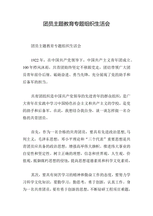 团员主题教育专题组织生活会.docx