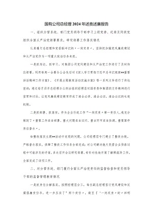 国有公司总经理2024年述责述廉报告.docx