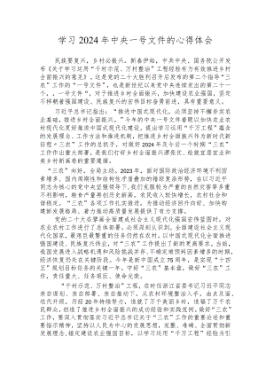（14篇）学习-2024-年中央一号文件的心得体会.docx