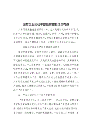国有企业纪检干部教育整顿活动有感&【写材料用典】未有不能正身而能正人者.docx