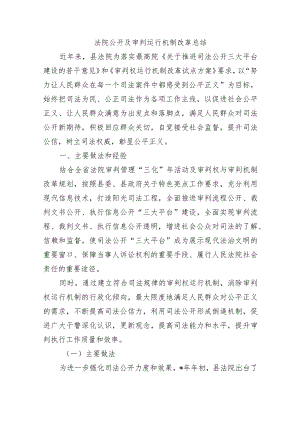 法院公开及审判运行机制改革总结.docx