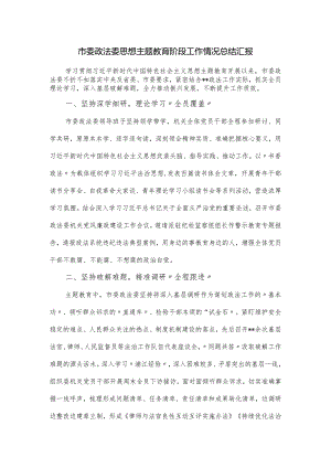 市委政法委思想主题教育阶段工作情况总结汇报.docx