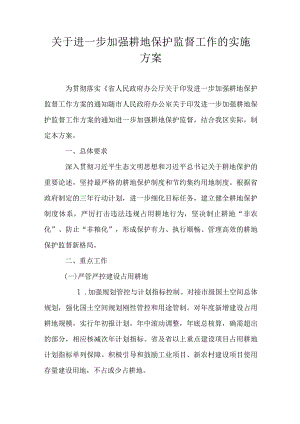关于进一步加强耕地保护监督工作的实施方案.docx