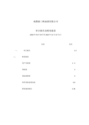 渝三峡Ａ：成都渝三峡油漆有限公司审计报告（2022年1月1日至2023年12月31日）.docx