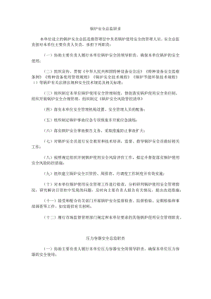 特种设备安全总监职责.docx