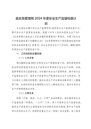 县应急管理局2024年度安全生产监督检查计划.docx