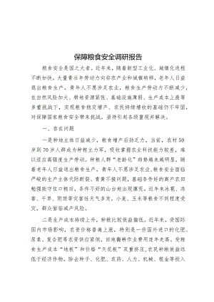 保障粮食安全调研报告&党支部主题教育工作汇报.docx