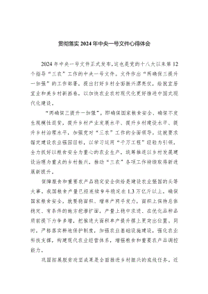 贯彻落实2024年中央一号文件心得体会（共9篇）.docx