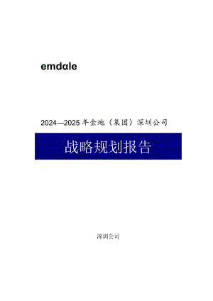 2024-2025年某公司战略规划报告.docx