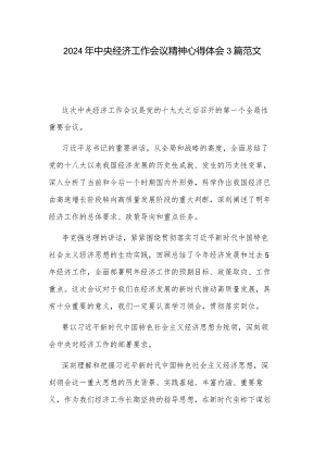 2024年中央经济工作会议精神心得体会3篇范文.docx