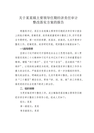 关于某某镇主要领导任期经济责任审计整改落实方案的报告.docx