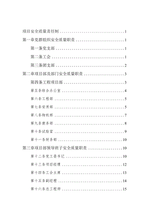 项目安全质量责任制.docx