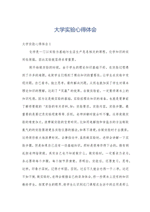 大学实验心得体会.docx