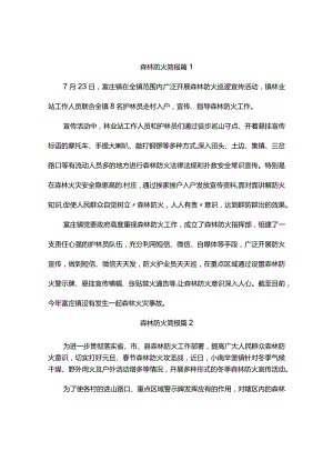 森林防火简报（精选6篇）.docx