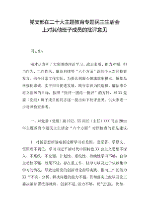 党支部在二十大主题教育专题民主生活会上对其他班子成员的批评意见.docx