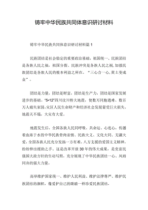铸牢中华民族共同体意识研讨材料.docx