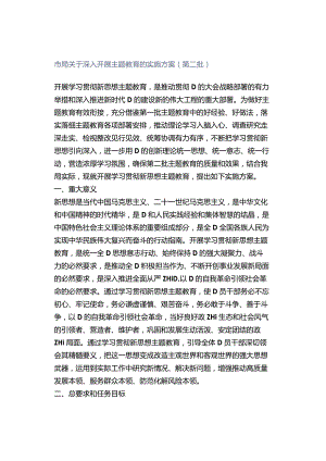市局关于深入开展主题教育的实施方案（第二批）.docx