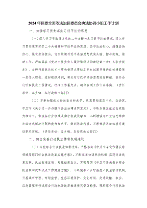 2024年区委全面依法治区委员会执法协调小组工作计划.docx