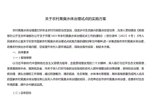 关于农村黑臭水体治理试点实施方案.docx
