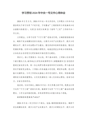（8篇）学习贯彻2024年中央一号文件心得体会.docx