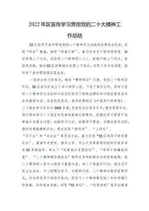 区宣传学习贯彻党的二十大精神工作总结.docx