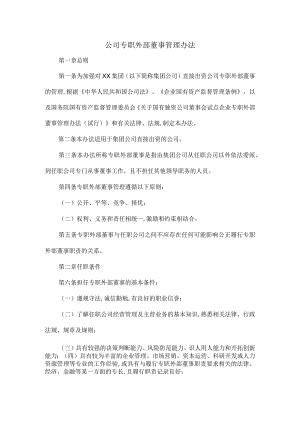 公司专职外部董事管理办法.docx