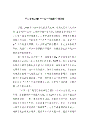 学习贯彻2024年中央一号文件心得体会9篇（最新版）.docx
