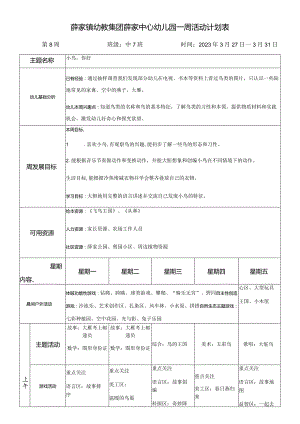 薛家镇幼教集团薛家中心幼儿园一周活动计划表.docx