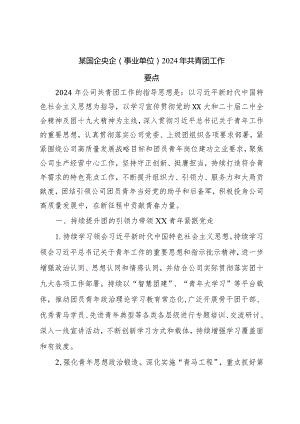 某国企央企（事业单位）2024年共青团工作要点.docx