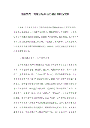 经验交流：党建引领聚合力 融合赋能促发展.docx