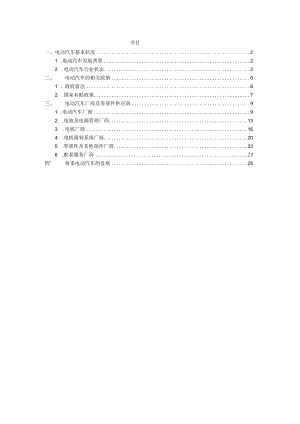 2024电动汽车调研报告.docx