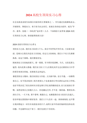 2024大学生顶岗实习心得.docx