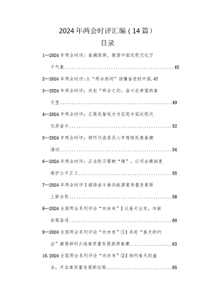 2024年两会时评汇编（14篇）.docx