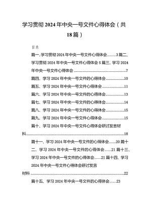 学习贯彻2024年中央一号文件心得体会18篇供参考.docx