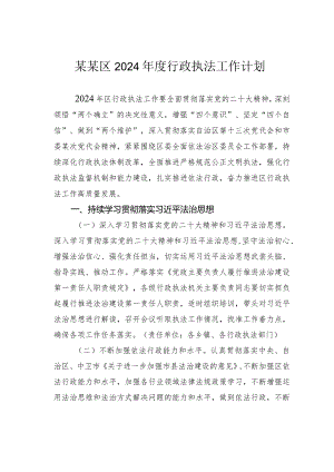 某某区2024年度行政执法工作计划.docx