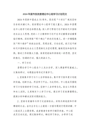 2024年度市发改委理论中心组学习计划范文.docx