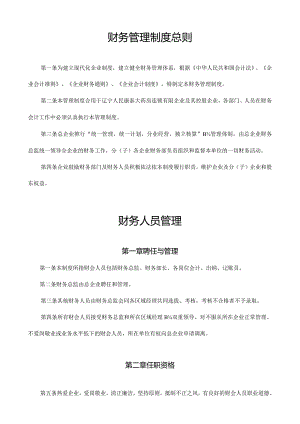 集团企业财务管理规范示例.docx