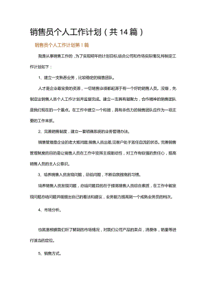 销售员个人工作计划.docx