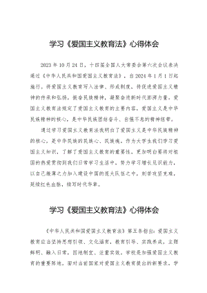 《爱国主义教育法》心得体会优秀范文十七篇.docx