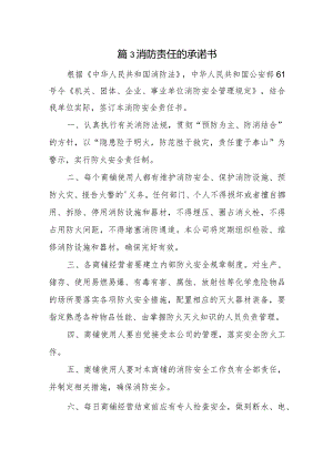 篇3消防责任的承诺书.docx