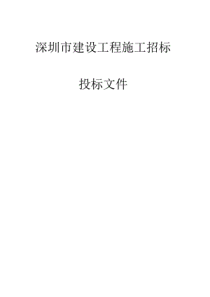 某市建设工程施工招标投标文件.docx