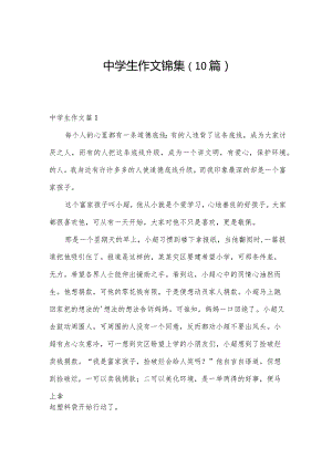 中学生作文锦集（10篇）.docx