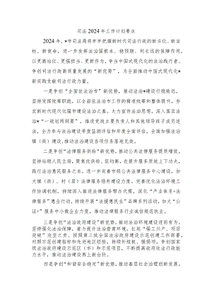 司法2024年工作计划要点.docx