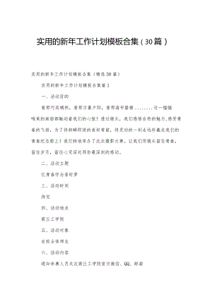 实用的新年工作计划模板合集（30篇）.docx