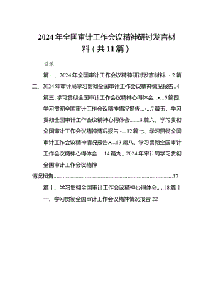 （11篇）2024年全国审计工作会议精神研讨发言材料参考范文.docx