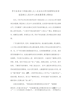 学习在参加十四届全国人大二次会议江苏代表团审议时讲话坚持以人民为中心的发展思想心得体会.docx